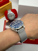 Omega Seamaster (01)